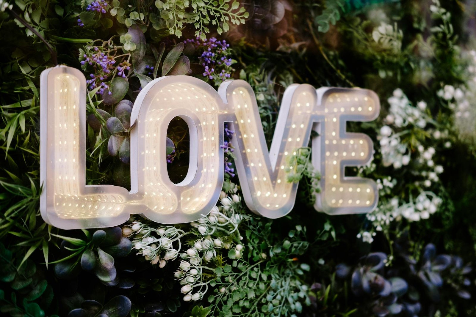 white letters hanging on a wall covered in plants